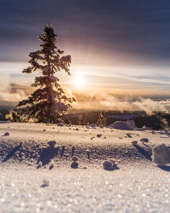 Winter storm in Januarys